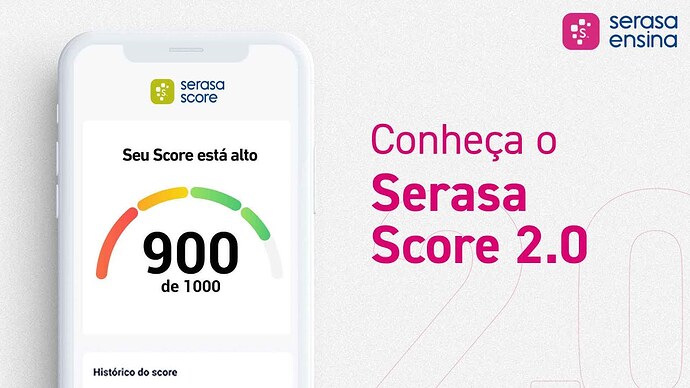 Score Serasa