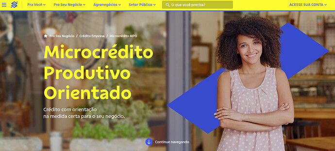 Quais instituições oferecem microcrédito produtivo orientado?