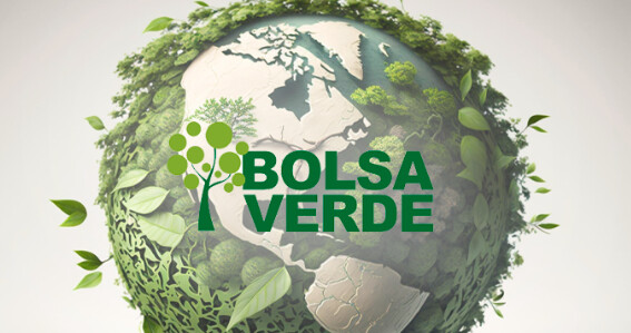 Onde cai o Bolsa Verde?